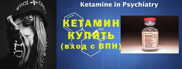 сатива Чегем