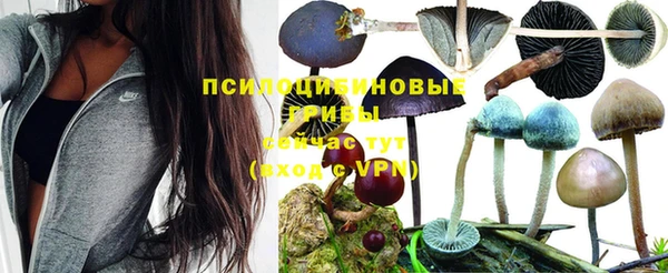 соль ск Володарск