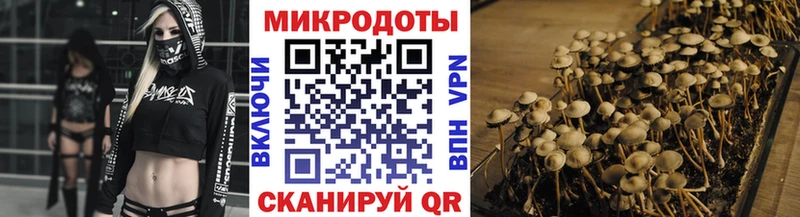 купить  цена  Луза  Галлюциногенные грибы Magic Shrooms 
