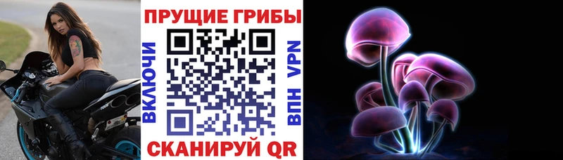 Галлюциногенные грибы GOLDEN TEACHER Луза